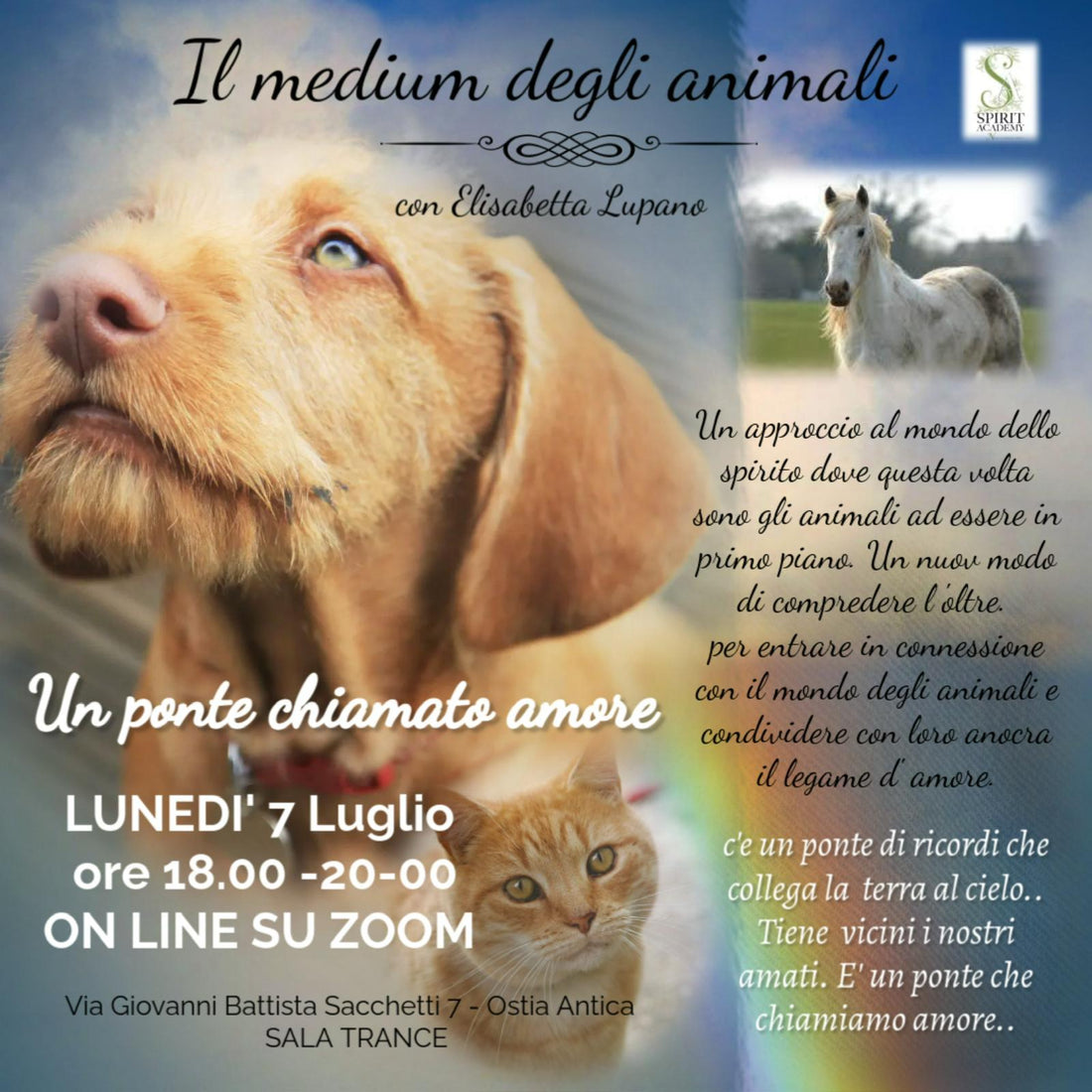 Il Medium degli animali